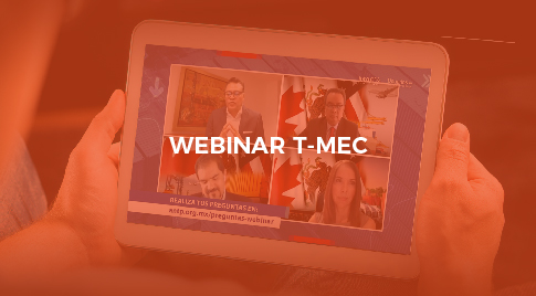 Visualizacion Webinar T-MEc